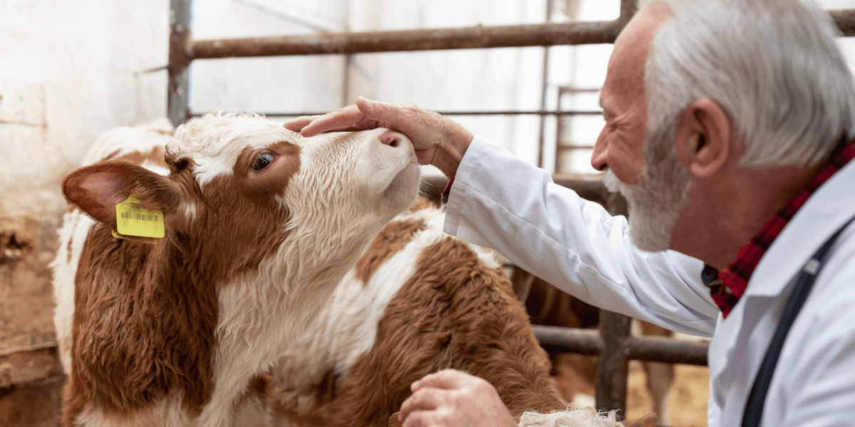 A refreshing new vet experience starts here